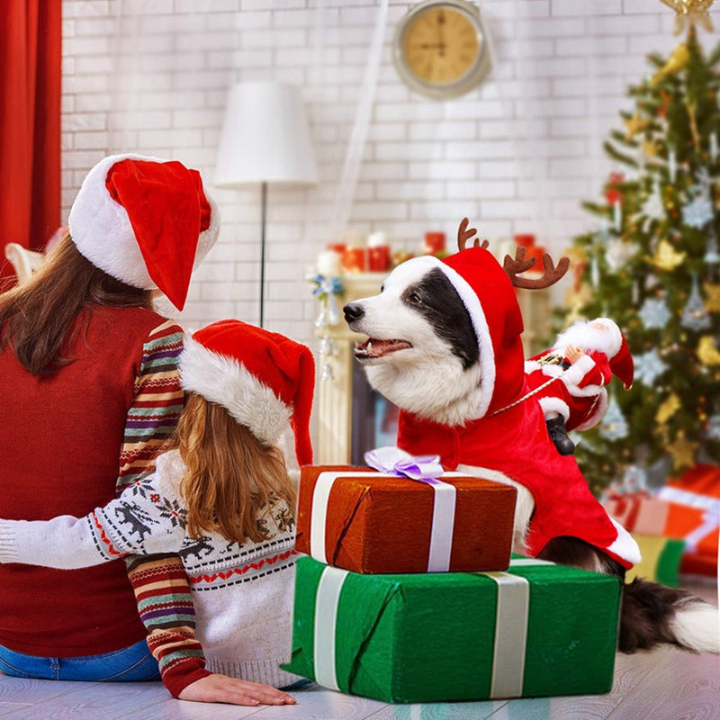 Santa Dog Costume