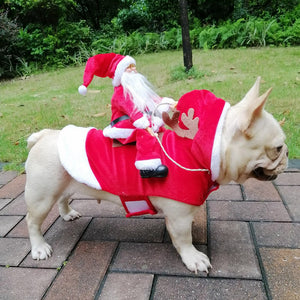 Santa Dog Costume